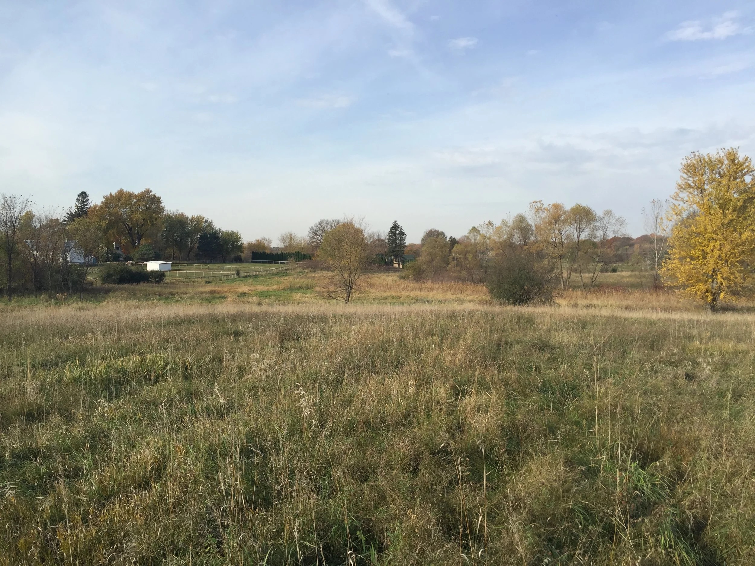 Woodlyn Ridge